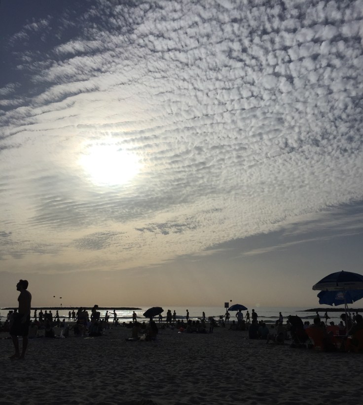 Первые шаги на месте. Следуем инструкциям!