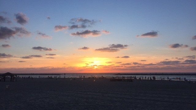 Куриный бульон или как пользоваться израильской медициной Куриный бульон или как пользоваться израильской медициной