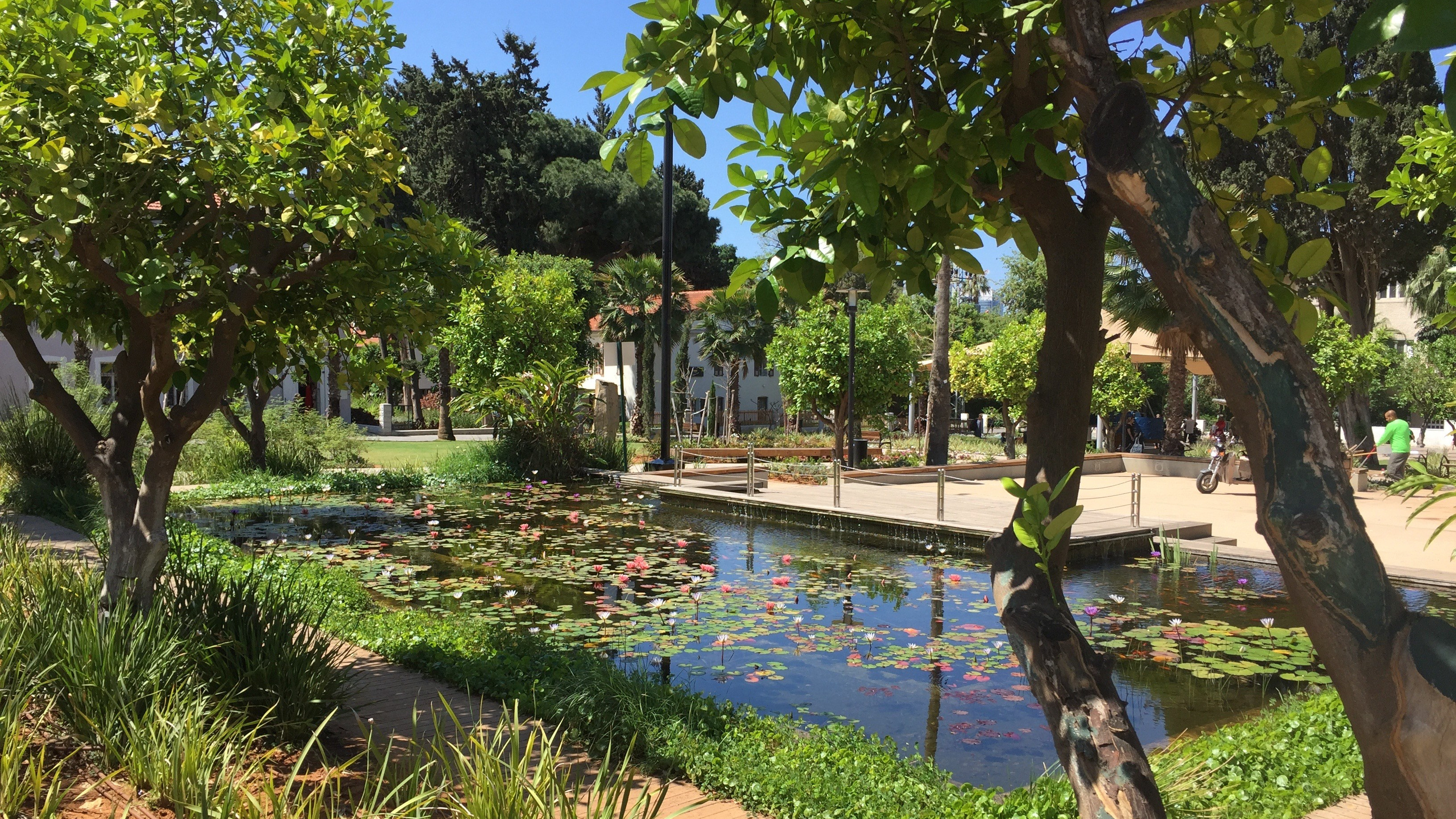 Что делать? Мне не хватает “лухари”!