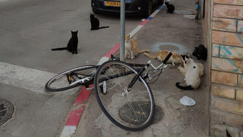 Чемодан негатива